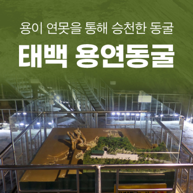 (태백) 용연동굴 입장권