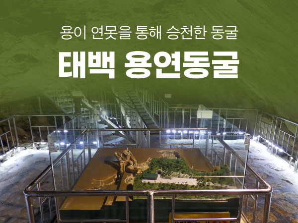 (태백) 용연동굴 입장권